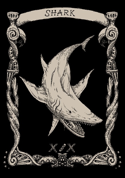 Shark Token (iberune haberu)
