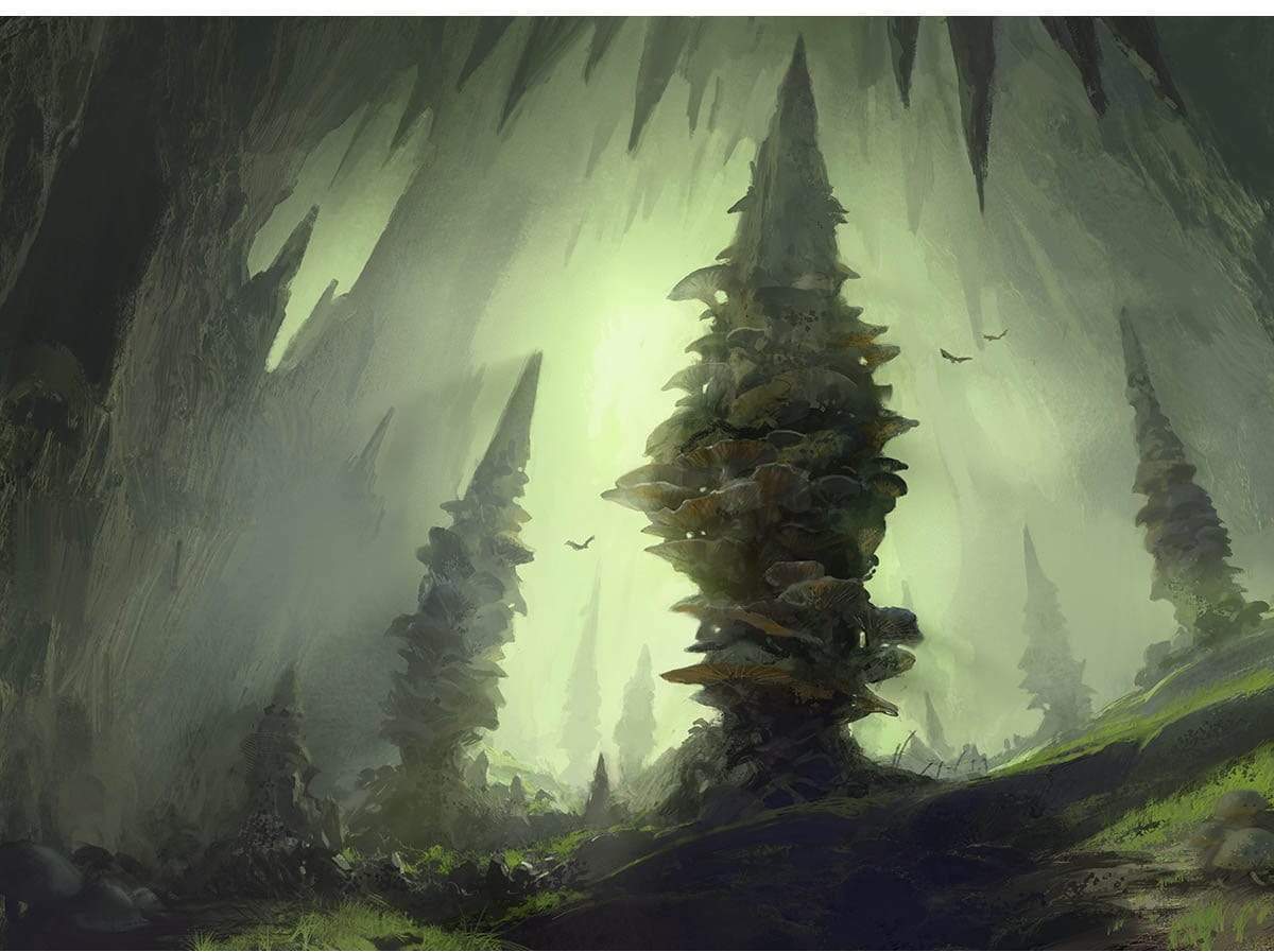 Forest by Titus Lunter from Adventures in the Forgotten Realms (Backorder)