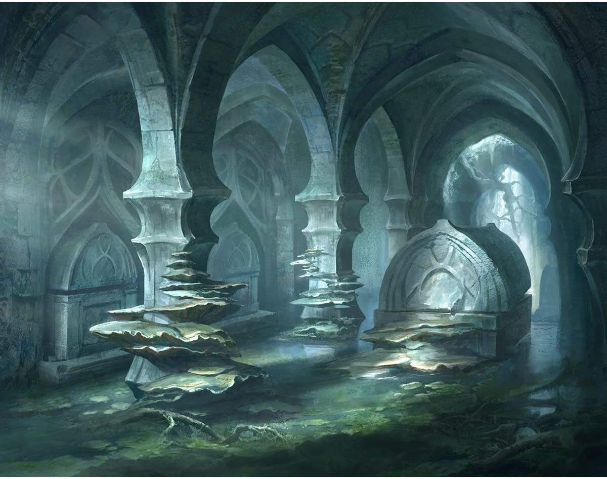 Darkwater Catacombs by Cliff Childs from Adventures in the Forgotten Realms Commander (Backorder)