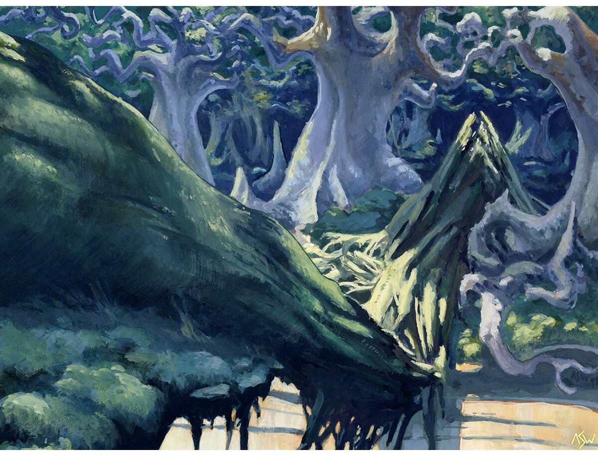 Forest by Anthony S. Waters from Urza's Saga (Backorder)