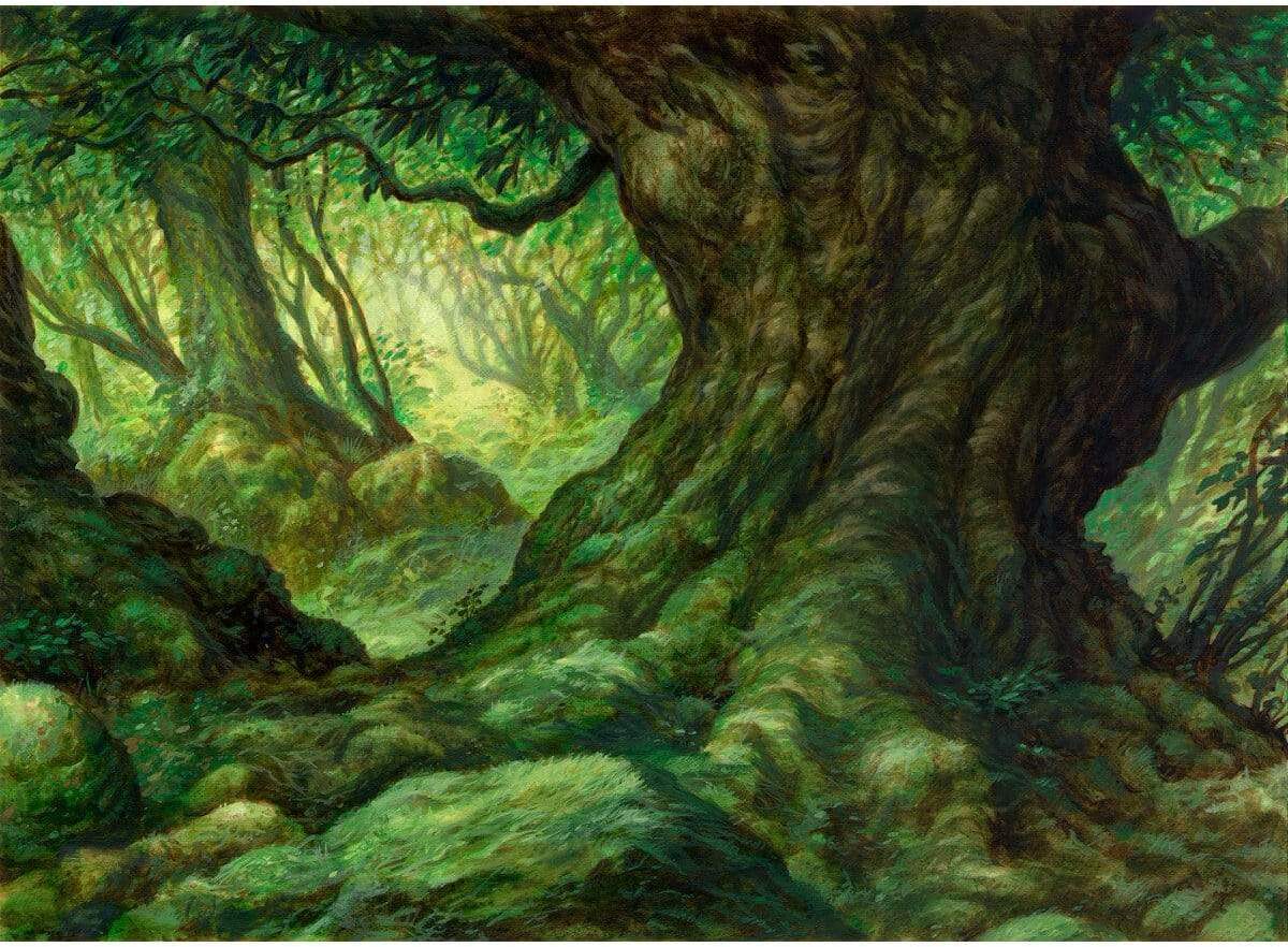 Forest by Jim Nelson from Magic 2010 (Backorder)