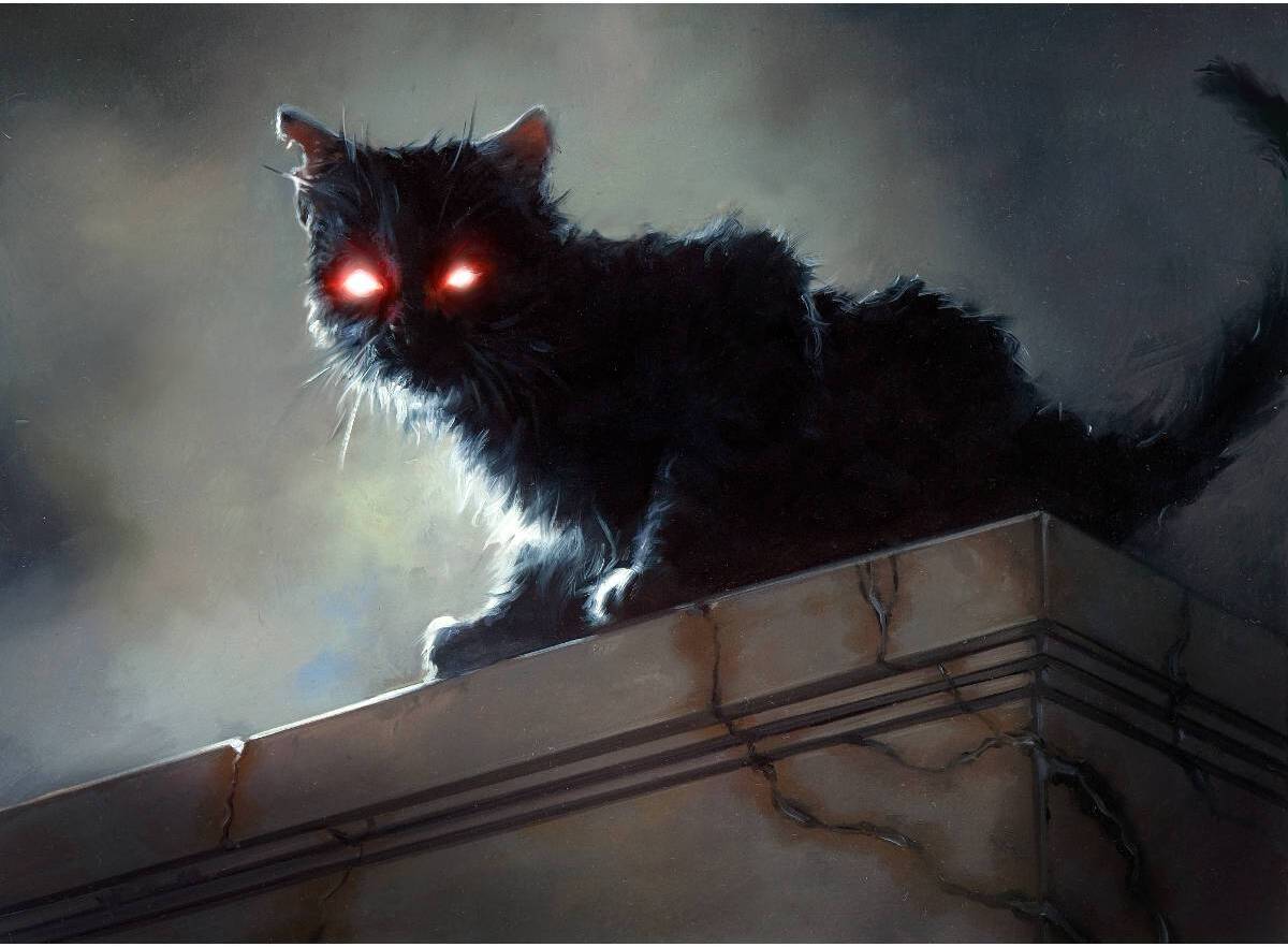 Black Cat by David Palumbo from Dark Ascension (Backorder)