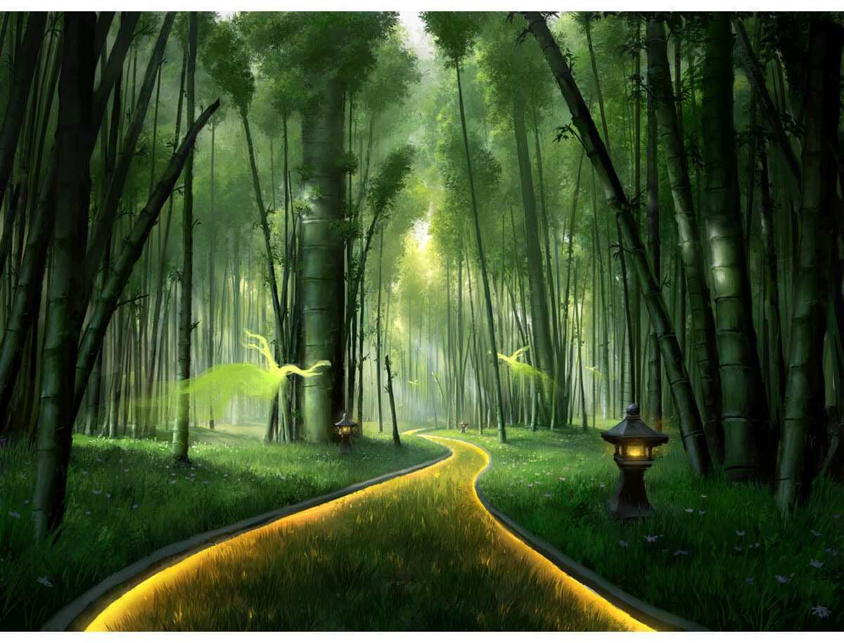 Forest by Piotr Dura from Kamigawa: Neon Dynasty (Backorder)