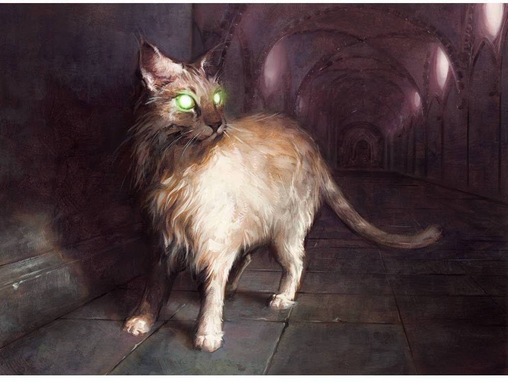 Sanctuary Cat by David Palumbo from Dark Ascension (Backorder)