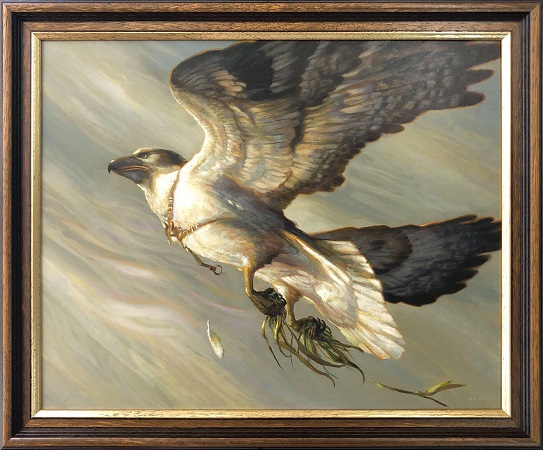 Cartographer's Hawk by Donato Giancola from Ikoria Commander