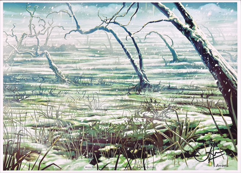 極北の干潟（サイン入り）（John Avon）コールドスナップより