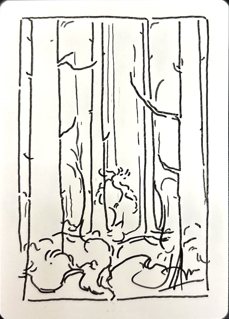 John Avonアーティストプルーフ // 《森/Forest》