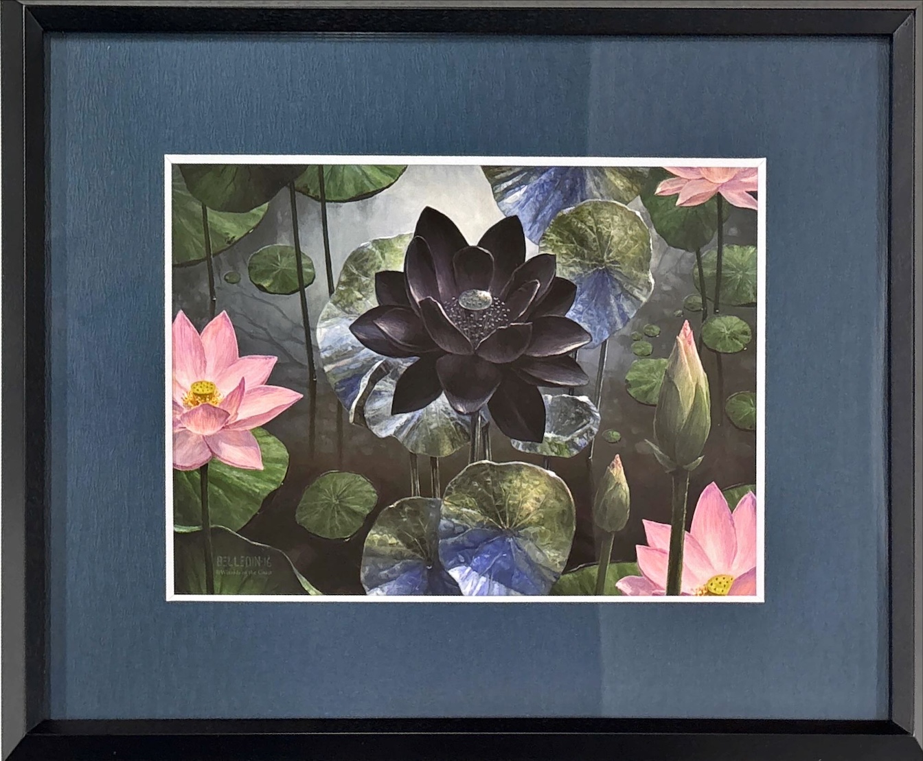Black Lotus（Steven Belledin）（）
