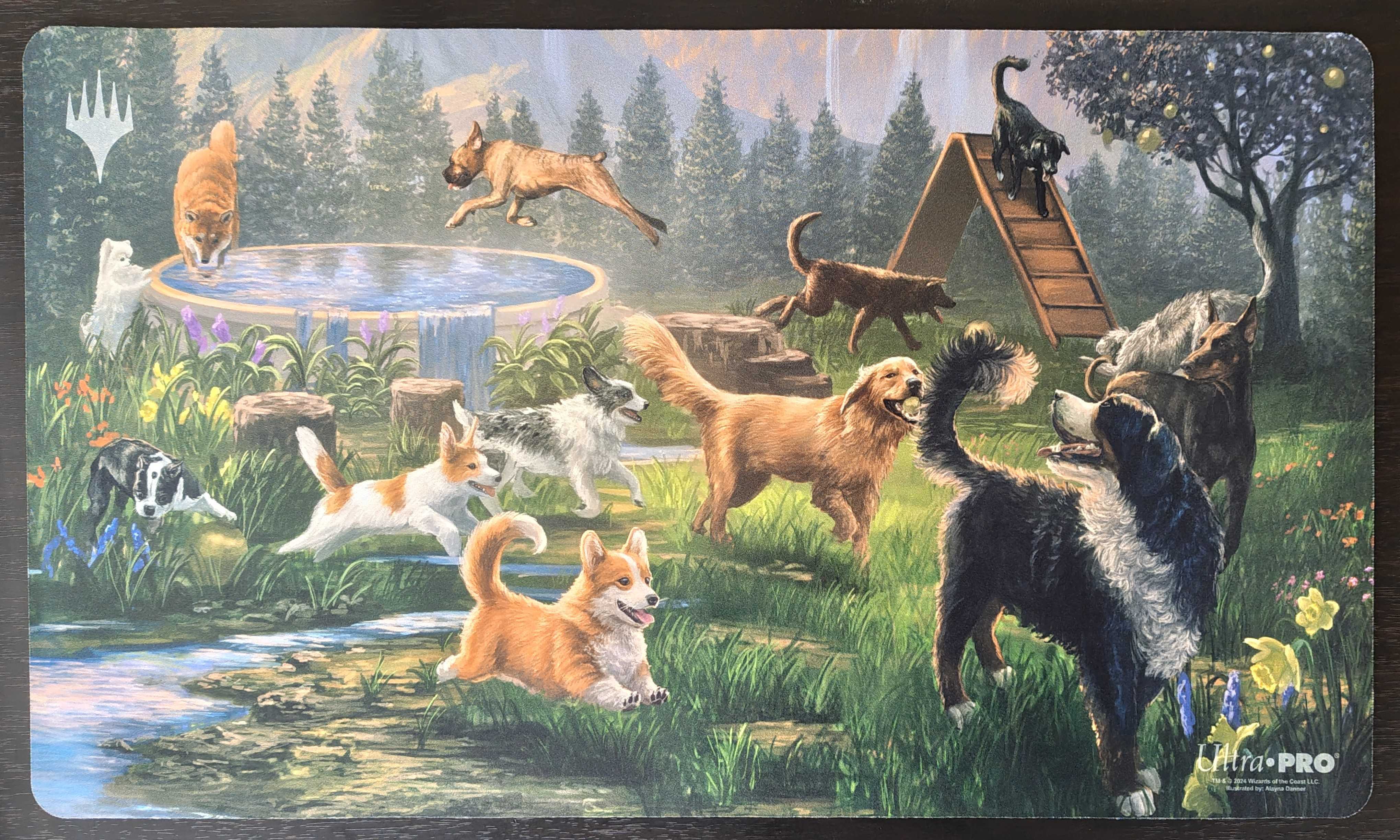 Dog Park Mountainプレイマット