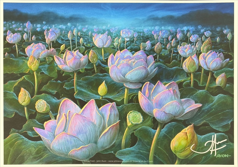 睡蓮の原野（サイン入り）（John Avon）基本セット２０２０より