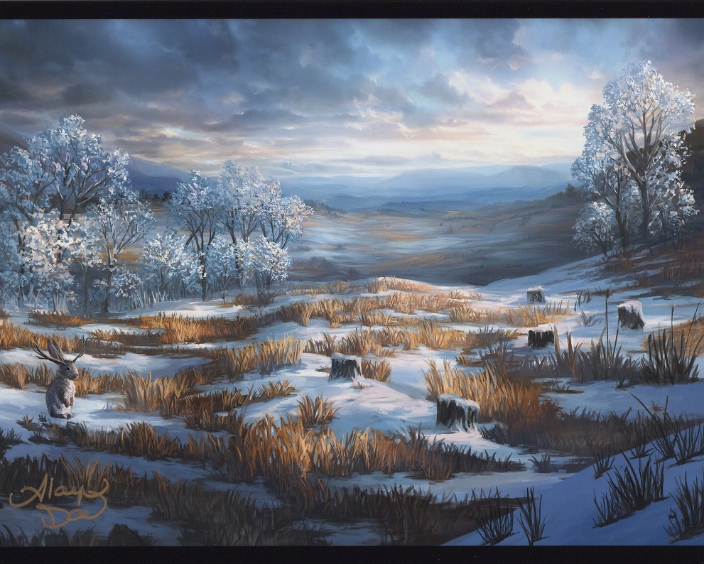 Snow-Covered Plains (Signed) by Alayna Danner from Secret Lair Drop Series