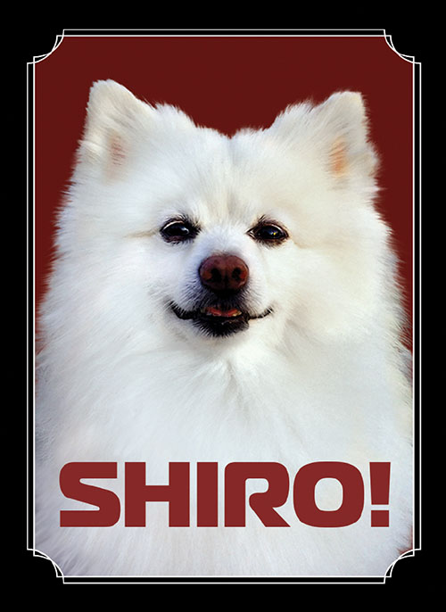 Sleeve - Shiro(50枚入り)