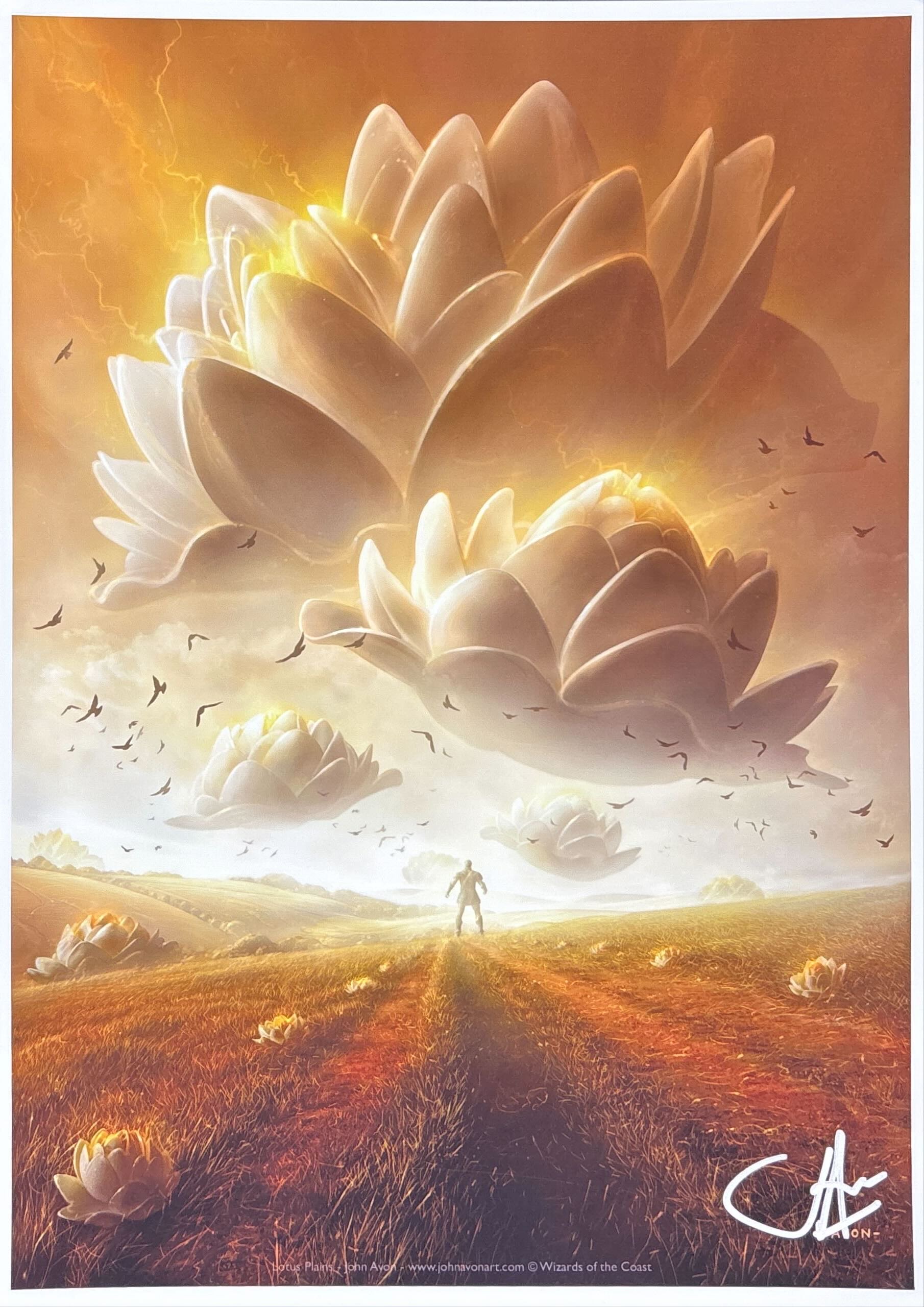 サイン入りアートプリント　リリアナ　ニッサ　チャンドラ　ジェイス　ギデオン 5枚 MTG専門店|東京MTG】MTGカード・アート通販サイト