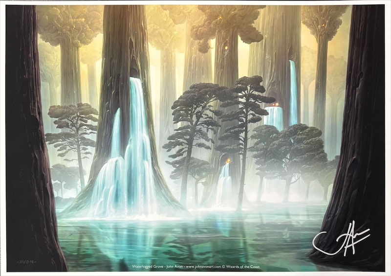 冠水樹林帯（サイン入り）（John Avon）モダンホライゾンより