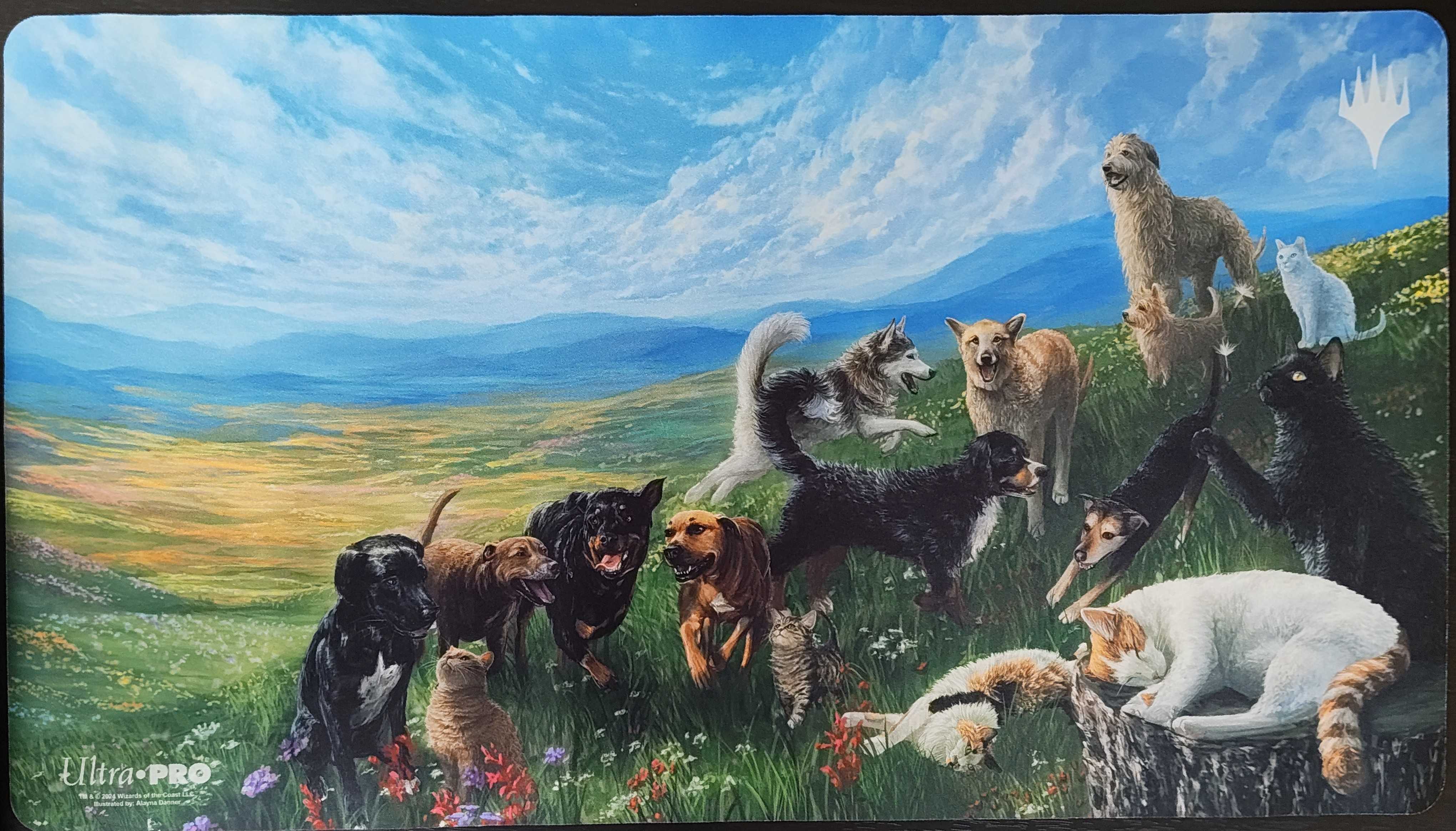 Cats & Dogs Plainsプレイマット