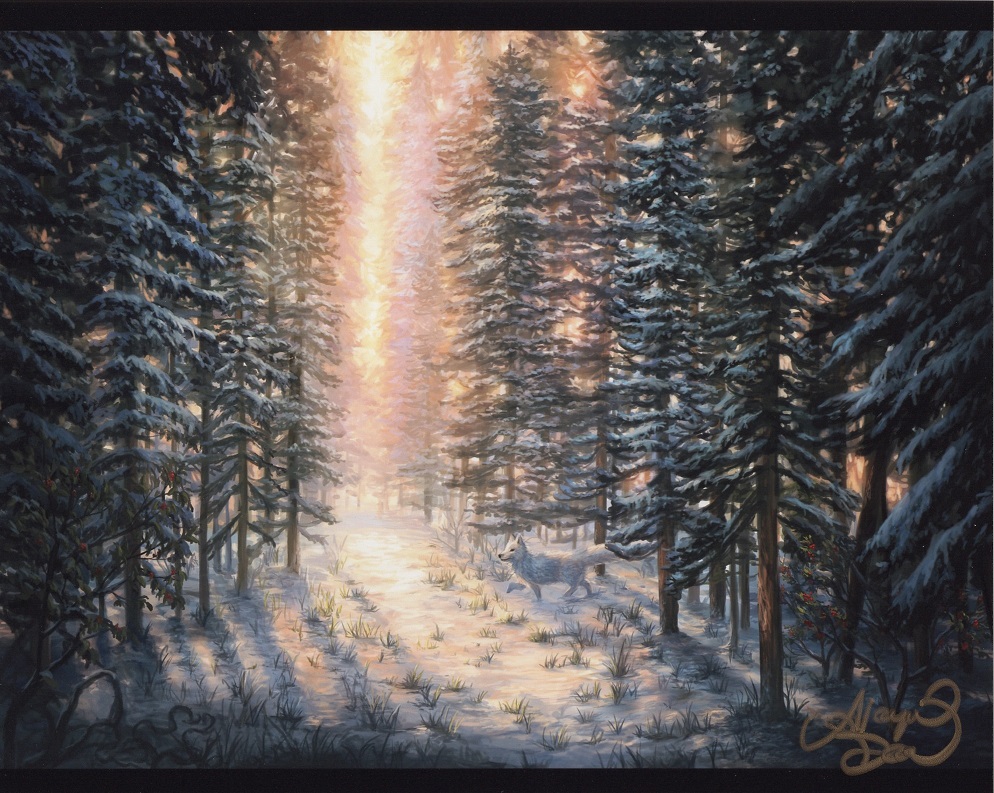 Snow-Covered Forest (Signed) by Alayna Danner from Secret Lair Drop Series