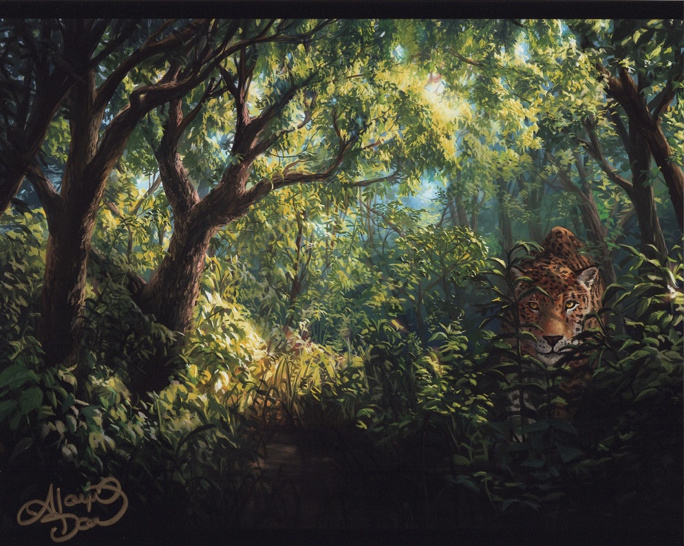 Forest (Signed) by Alayna Danner from Secret Lair Drop Series