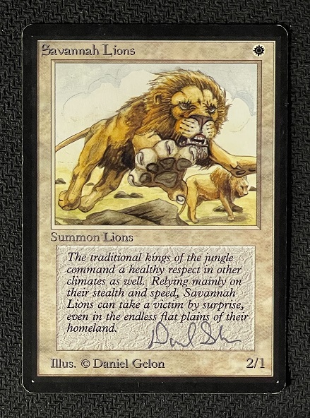 《サバンナ・ライオン/Savannah Lions》 [LEB] (22370)（サイン入り）
