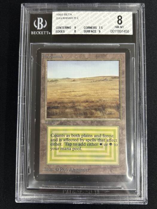 MTG専門店|東京MTG】MTGカード・アート通販サイト