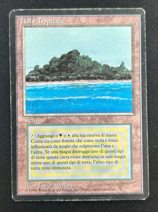 MTG Tropical  フランス語 黒枠 FBB インクド① MTG】Plateau FBB（フランス語黒枠） 1枚の通販 つんどら（1247567167