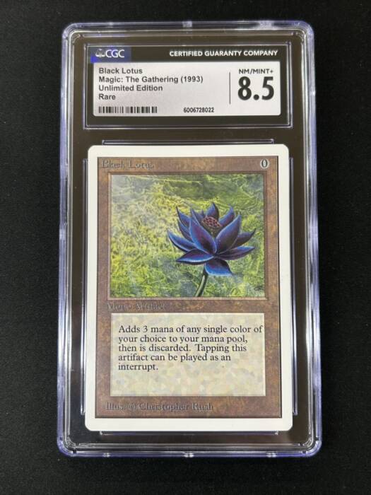 MTG専門店|東京MTG】MTGカード・アート通販サイト