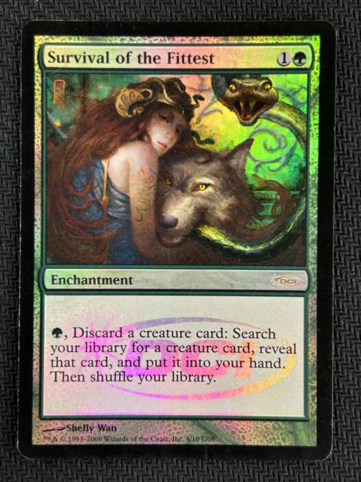 《適者生存/Survival of the Fittest》 [JUDGE] (37329)