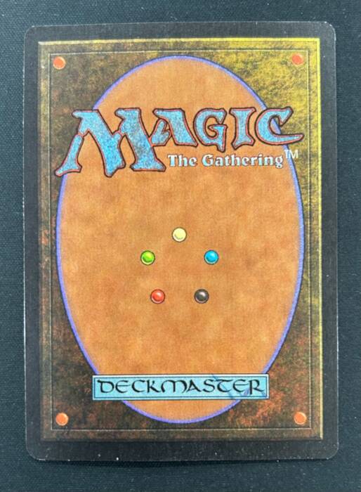 ライオンの瞳のダイヤモンド　アーティストサインド MTG専門店|東京MTG】MTGカード・アート通販サイト