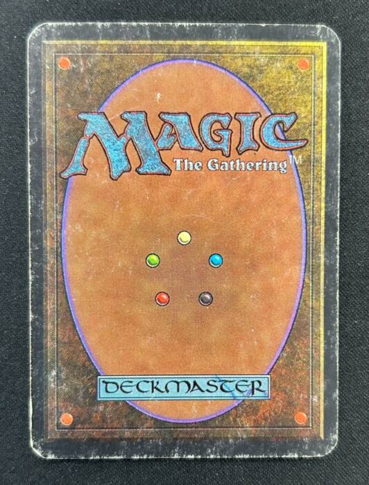 Badlands MTG サインド Sign 1枚 MTG】サインドカードについて｜Ajdadd420
