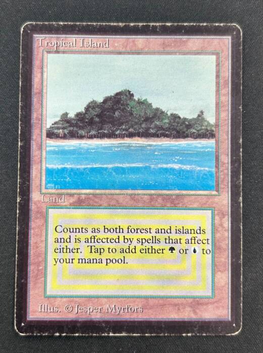 Tropical Island (47542)