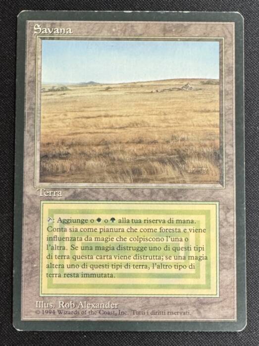 Savannah (49677)