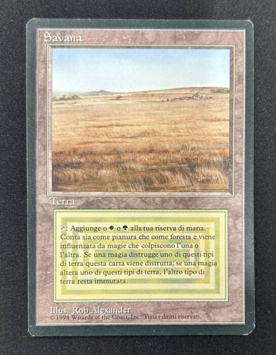Savannah FBB イタリア語　黒枠 MTG専門店|東京MTG】MTGカード・アート通販サイト