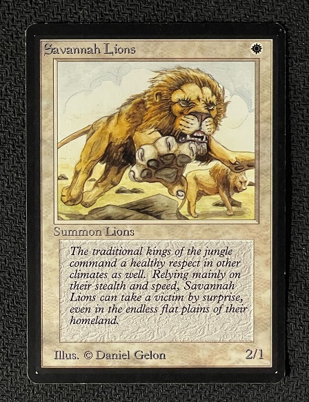 《サバンナ・ライオン/Savannah Lions》 [LEB] (57444)