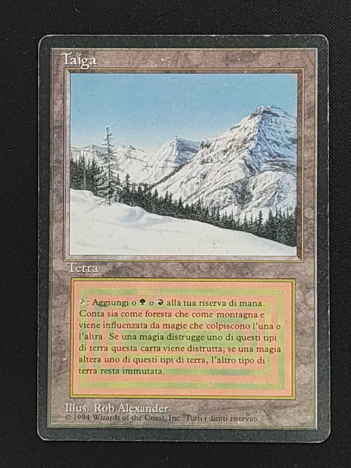 MTG専門店|東京MTG】MTGカード・アート通販サイト