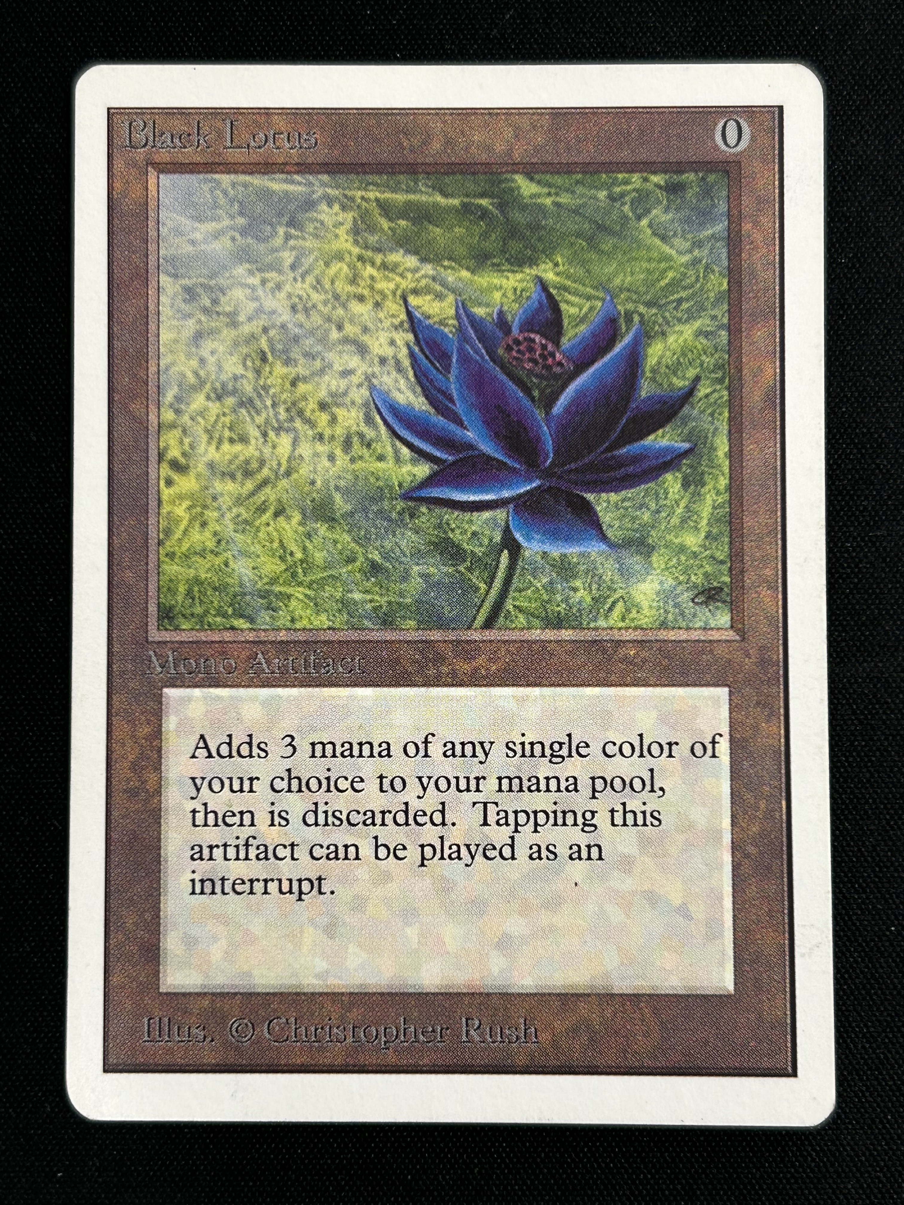 Black Lotas ブラックロータス Lótus Preto / Black Lotus - Bazar de Bagdá: O maior estoque de