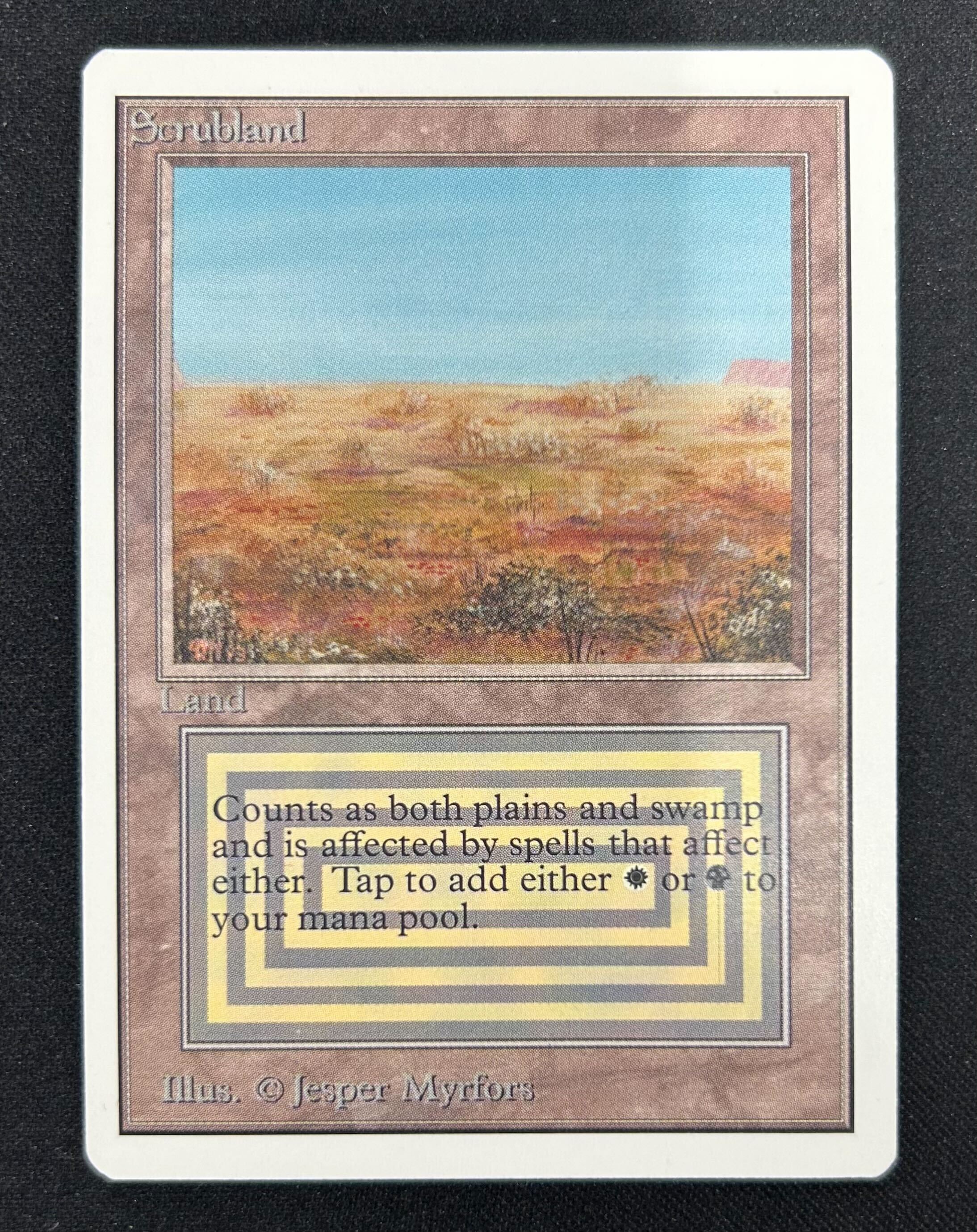Scrubland デュアルランド MTG専門店|東京MTG】MTGカード・アート通販サイト