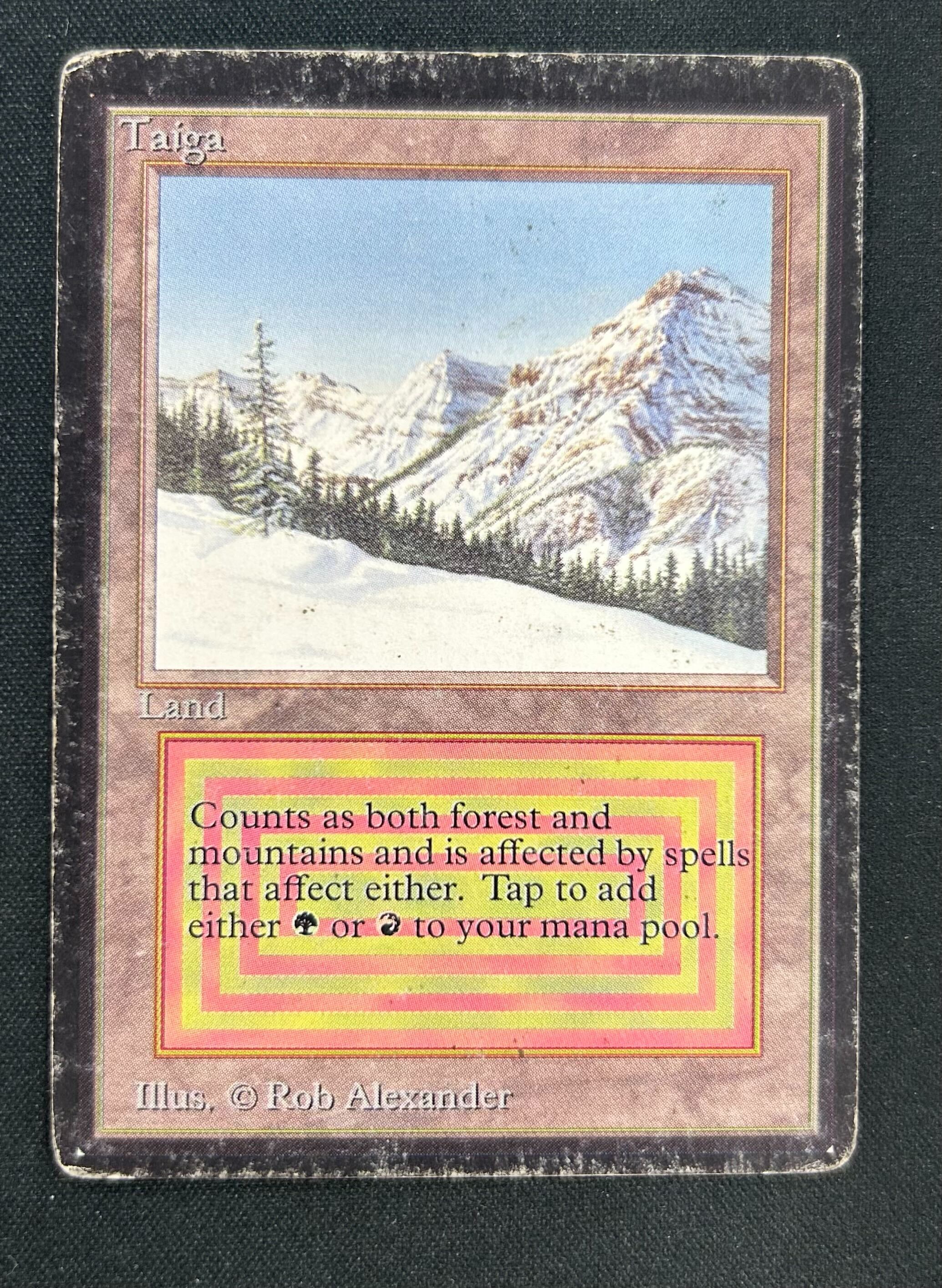 MTG専門店|東京MTG】MTGカード・アート通販サイト