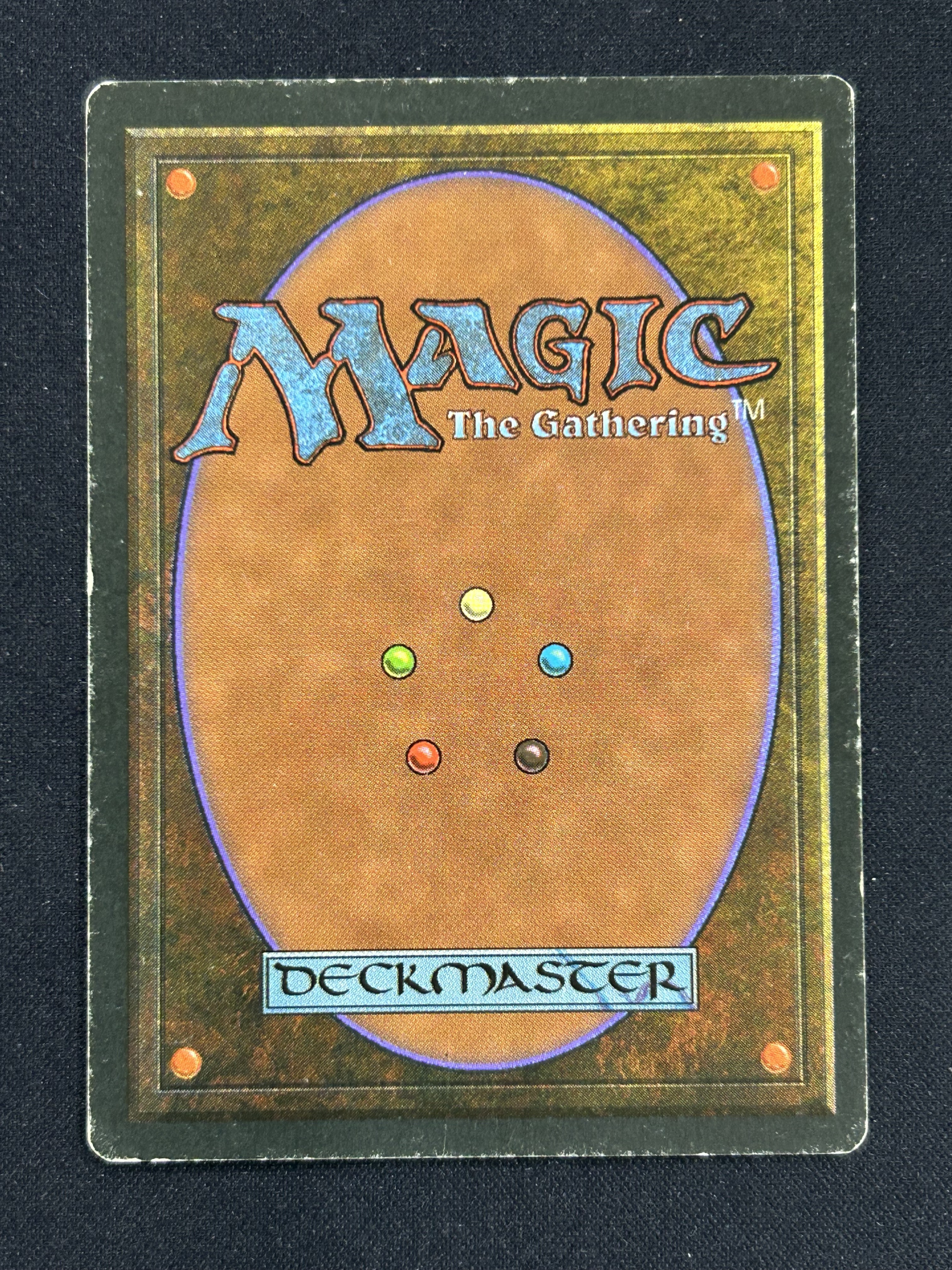 MTG Scrubland フランス語版 リヴァイズド 3ED 1994年 MTG専門店|東京MTG】MTGカード・アート通販サイト