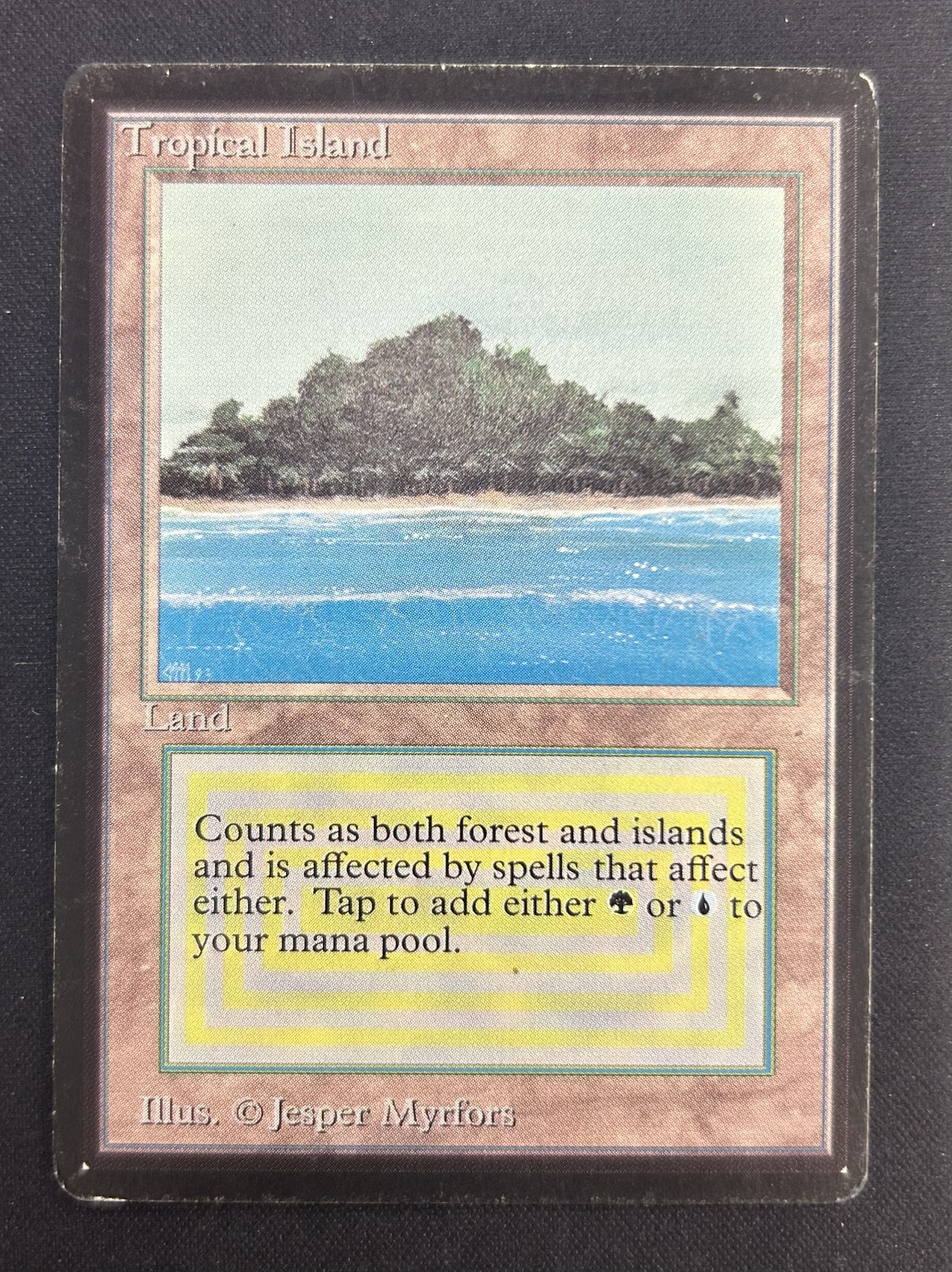 MTG tropical  イタリア語　白枠　1枚　※最終値下げ MTG専門店|東京MTG】MTGカード・アート通販サイト