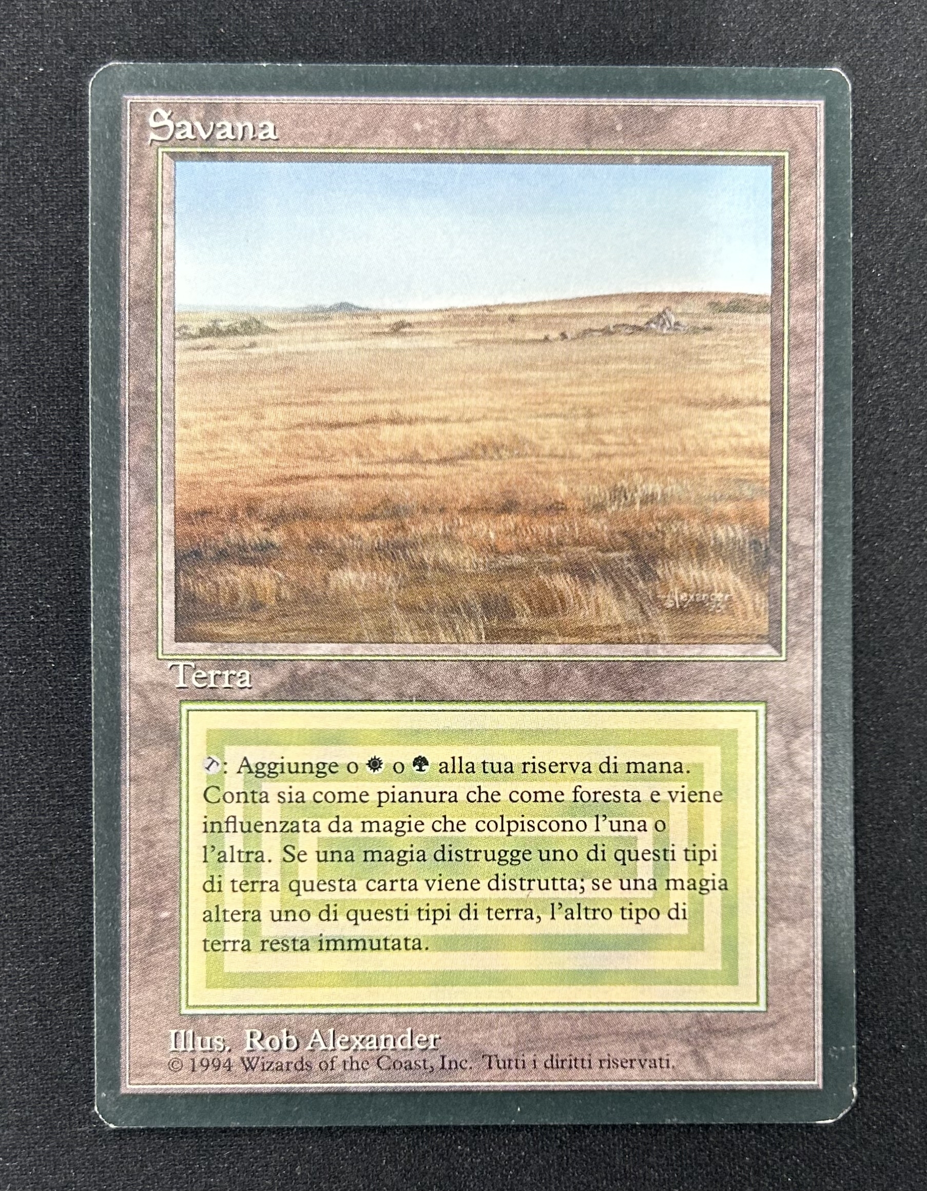 MTG専門店|東京MTG】MTGカード・アート通販サイト
