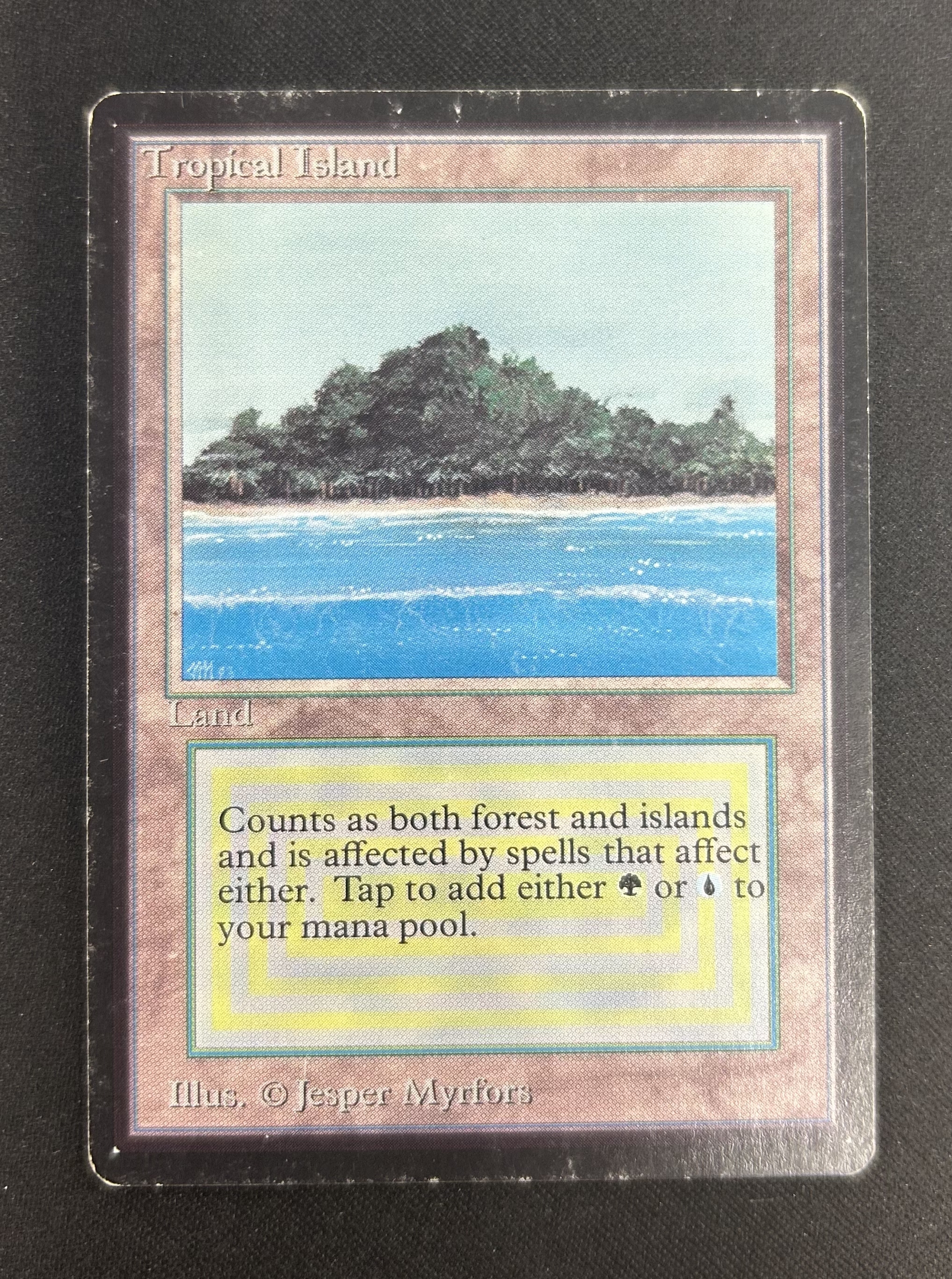MTG専門店|東京MTG】MTGカード・アート通販サイト